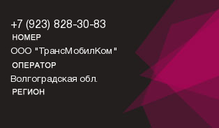 9238283083